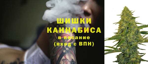 ГАЛЛЮЦИНОГЕННЫЕ ГРИБЫ Абдулино